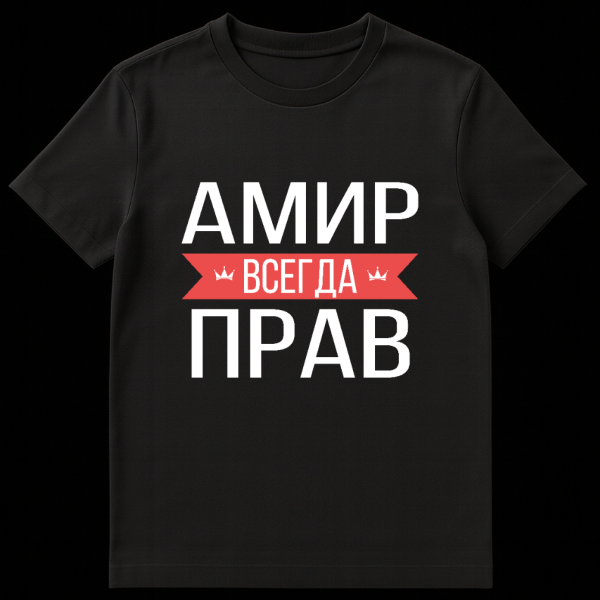Gray t-shirt featuring bold white Russian text 'АМИР ВСЕГДА ПРАВ' (Amir is always right) with 'ВСЕГДА' on a red banner with crowns. on black t-shirt